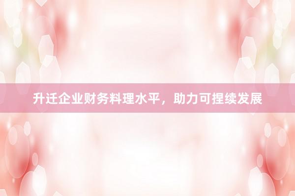 升迁企业财务料理水平，助力可捏续发展